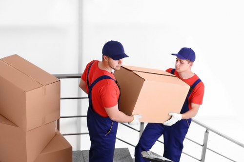 Professional flat removals in Pimlico with careful packing and loading