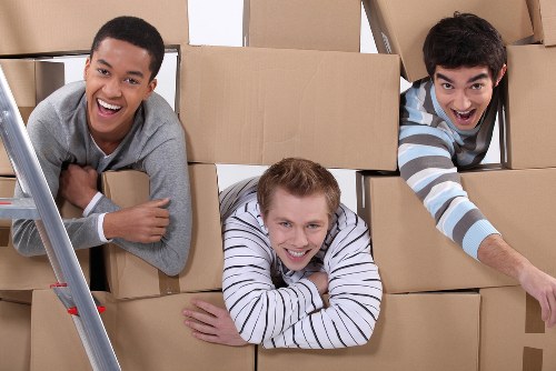 Cancellation, liability, and service limitation terms