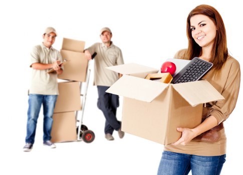 Professional man and van in Pimlico handling household items