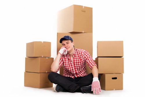 Professional man with van helping with a small move in Pimlico